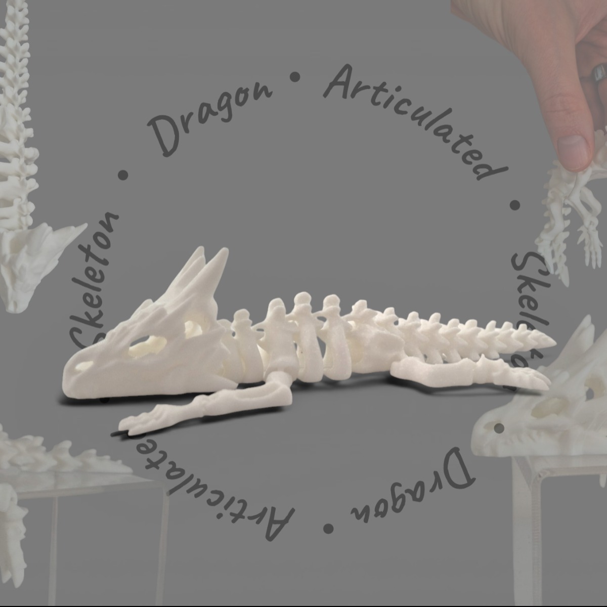 Articulated Skeleton Dragon