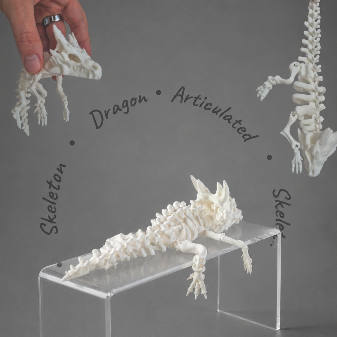 Articulated Skeleton Dragon